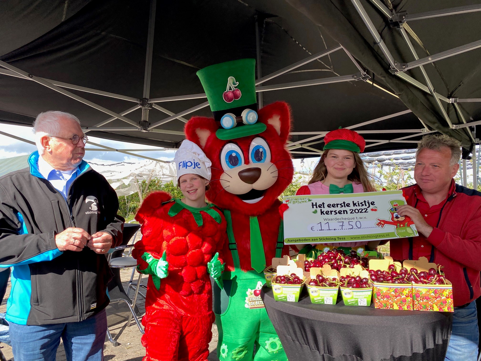 kersenveiling streeckerij de betuwe